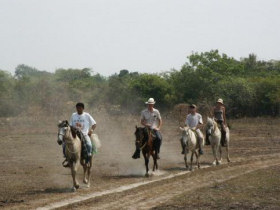 Venezuela holidays, tailor made